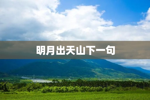 明月出天山下一句