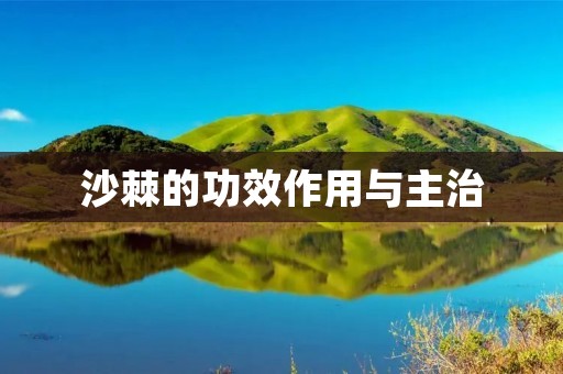 沙棘的功效作用与主治