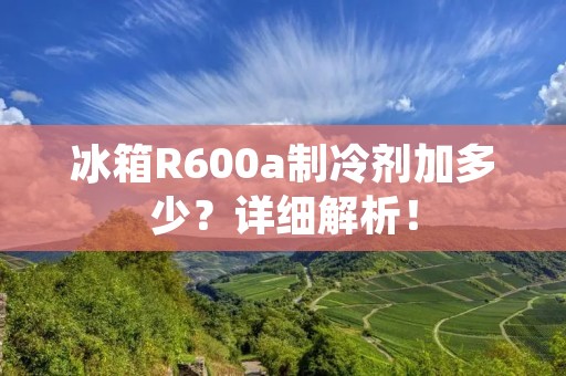 冰箱R600a制冷剂加多少？详细解析！