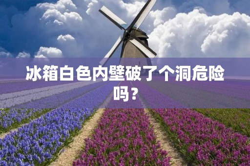 冰箱白色内壁破了个洞危险吗？