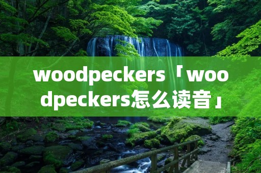 woodpeckers「woodpeckers怎么读音」