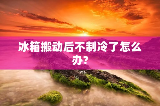 冰箱搬动后不制冷了怎么办? 冰箱搬动后不制冷了怎么办?
