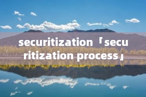 securitization「securitization process」