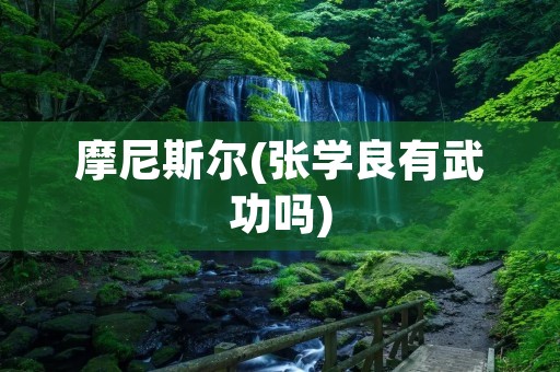 摩尼斯尔(张学良有武功吗)