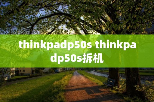 thinkpadp50s thinkpadp50s拆机
