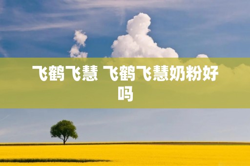 飞鹤飞慧 飞鹤飞慧奶粉好吗