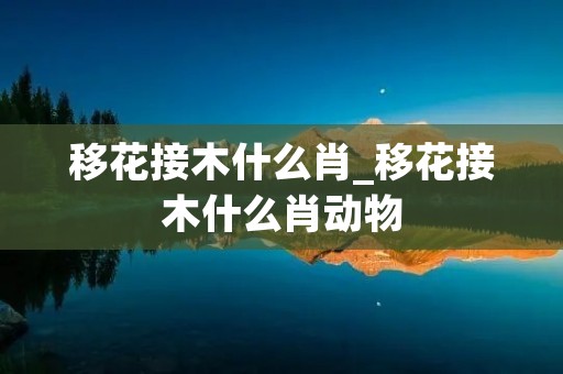 移花接木什么肖_移花接木什么肖动物