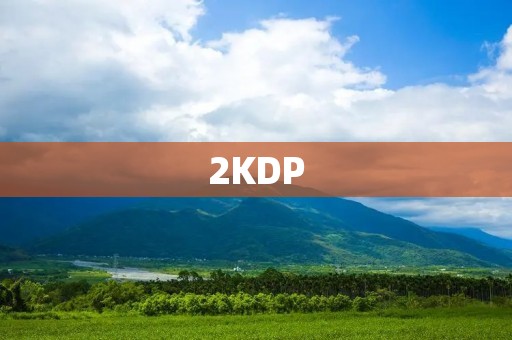 2KDP：打造高效、可靠的数据处理平台