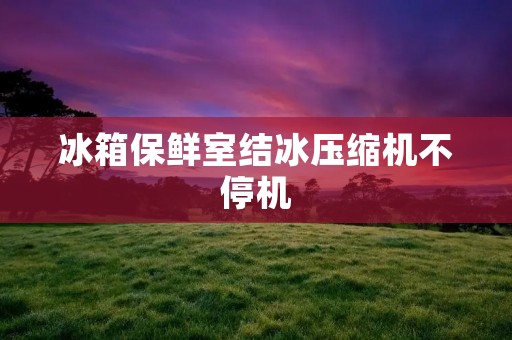 冰箱保鲜室结冰压缩机不停机：原因与解决办法