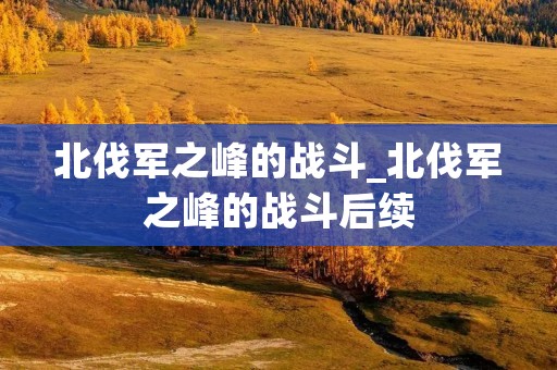 北伐军之峰的战斗_北伐军之峰的战斗后续