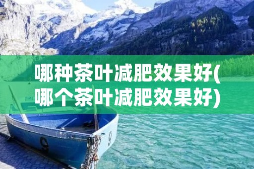 哪种茶叶减肥效果好(哪个茶叶减肥效果好)