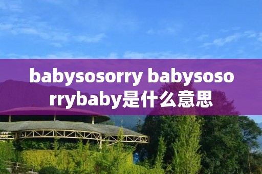 babysosorry babysosorrybaby是什么意思
