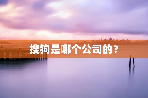 搜狗是哪个公司的? 搜狗是哪个公司的?