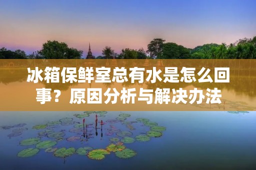 冰箱保鲜室总有水是怎么回事?原因分析与解决办法 冰箱保鲜室总有水是怎么回事?原因分析与解决办法