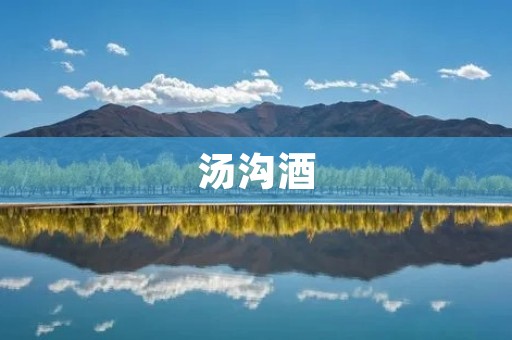 汤沟酒:传承百年的醇香之魅 汤沟酒:传承百年的醇香之魅