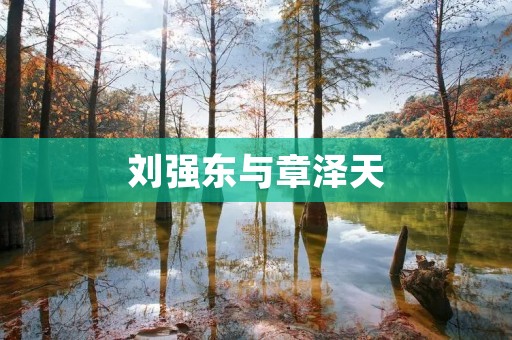 刘强东与章泽天：家庭幸福的背后故事