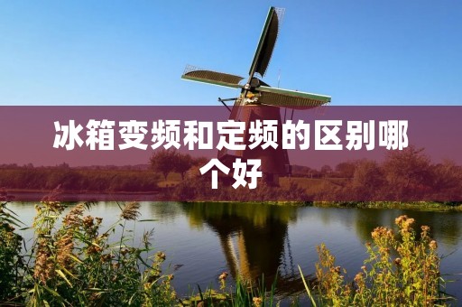 冰箱变频和定频的区别哪个好:详细对比分析 冰箱变频和定频的区别哪个好:详细对比分析