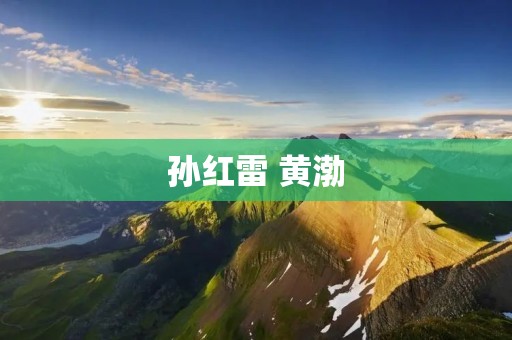 孙红雷 黄渤：中国电影界的两位实力派演员