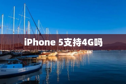 iPhone 5支持4G吗