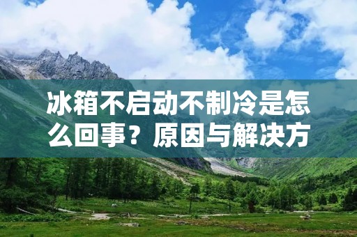 冰箱不启动不制冷是怎么回事?原因与解决方法详解 冰箱不启动不制冷是怎么回事?原因与解决方法详解
