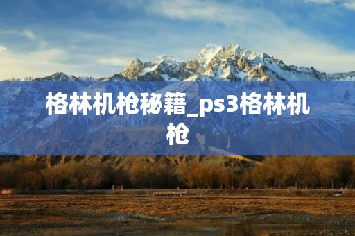 格林机枪秘籍_ps3格林机枪 格林机枪秘籍_ps3格林机枪