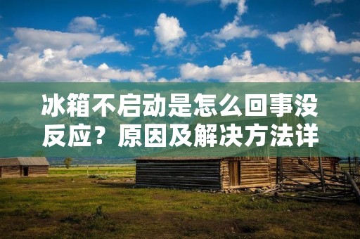 冰箱不启动是怎么回事没反应?原因及解决方法详解 冰箱不启动是怎么回事没反应?原因及解决方法详解