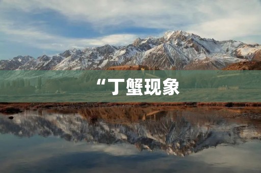“丁蟹现象:探究中国网络文化中的狂热追捧与失衡现象” “丁蟹现象:探究中国网络文化中的狂热追捧与失衡现象”