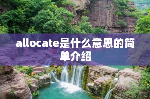 allocate是什么意思的简单介绍