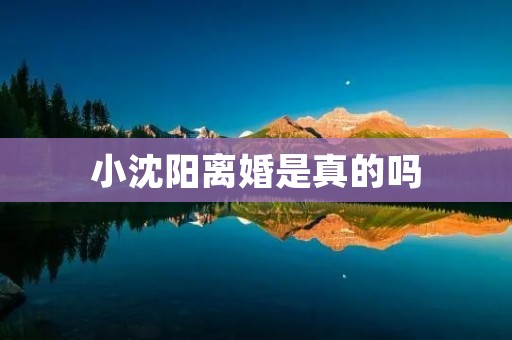 小沈阳离婚是真的吗