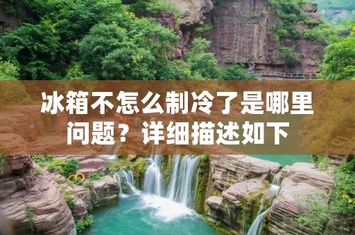 冰箱不怎么制冷了是哪里问题？详细描述如下：