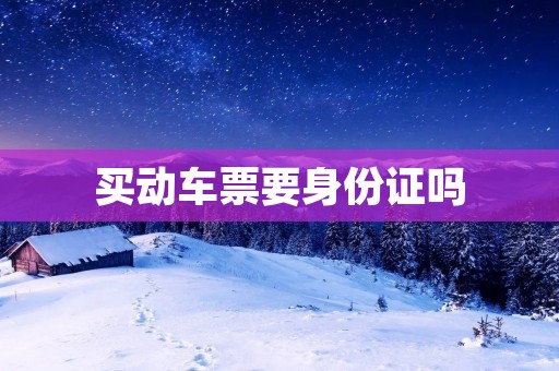 买动车票要身份证吗