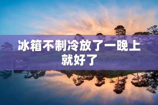 冰箱不制冷放了一晚上就好了:原因及解决方法揭秘 冰箱不制冷放了一晚上就好了:原因及解决方法揭秘