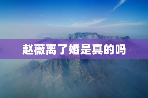 赵薇离了婚是真的吗 赵薇离了婚是真的吗