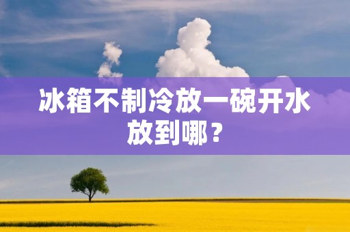 冰箱不制冷放一碗开水放到哪？