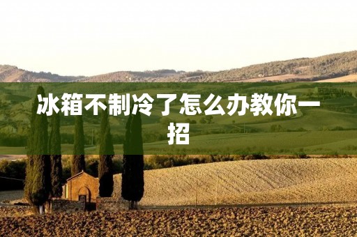 冰箱不制冷了怎么办教你一招 冰箱不制冷了怎么办教你一招