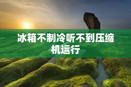 冰箱不制冷听不到压缩机运行：故障原因及解决方法