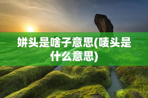 姘头是啥子意思(唛头是什么意思)