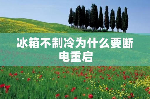 冰箱不制冷为什么要断电重启 冰箱不制冷为什么要断电重启