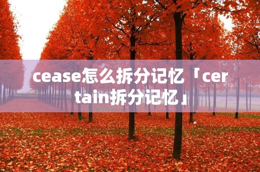 cease怎么拆分记忆「certain拆分记忆」