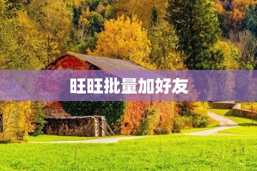 旺旺批量加好友:打破社交壁垒,轻松扩展人脉 旺旺批量加好友:打破社交壁垒,轻松扩展人脉
