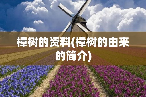 樟树的资料(樟树的由来的简介) 樟树的资料(樟树的由来的简介)