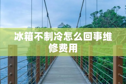 冰箱不制冷怎么回事维修费用：排查故障并了解维修成本