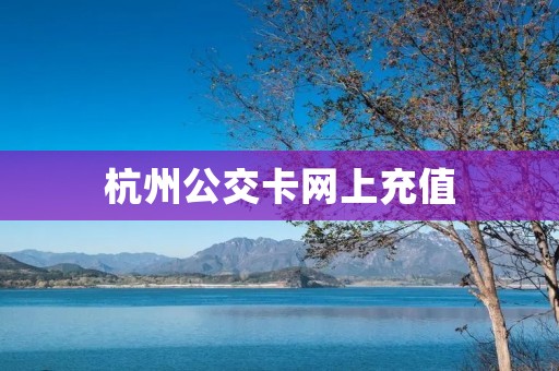 杭州公交卡网上充值:便捷快速的出行方式 杭州公交卡网上充值:便捷快速的出行方式
