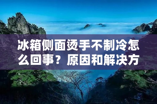 冰箱侧面烫手不制冷怎么回事?原因和解决方法详解 冰箱侧面烫手不制冷怎么回事?原因和解决方法详解