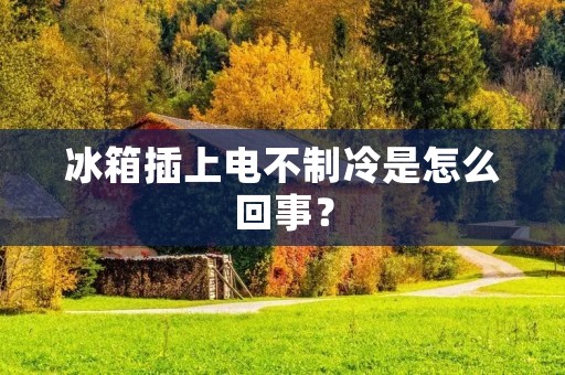 冰箱插上电不制冷是怎么回事？
