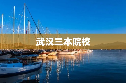 武汉三本院校:培养人才,服务社会 武汉三本院校:培养人才,服务社会