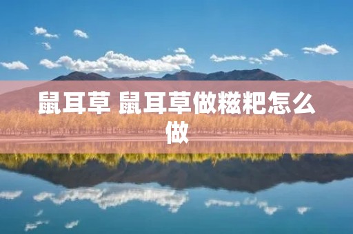 鼠耳草 鼠耳草做糍粑怎么做