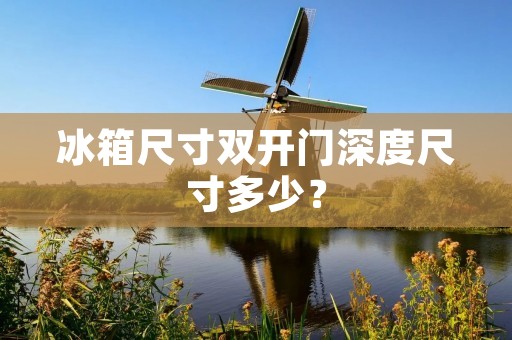 冰箱尺寸双开门深度尺寸多少?