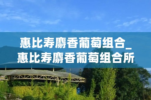 惠比寿麝香葡萄组合_惠比寿麝香葡萄组合所有成员
