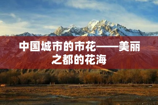 中国城市的市花——美丽之都的花海